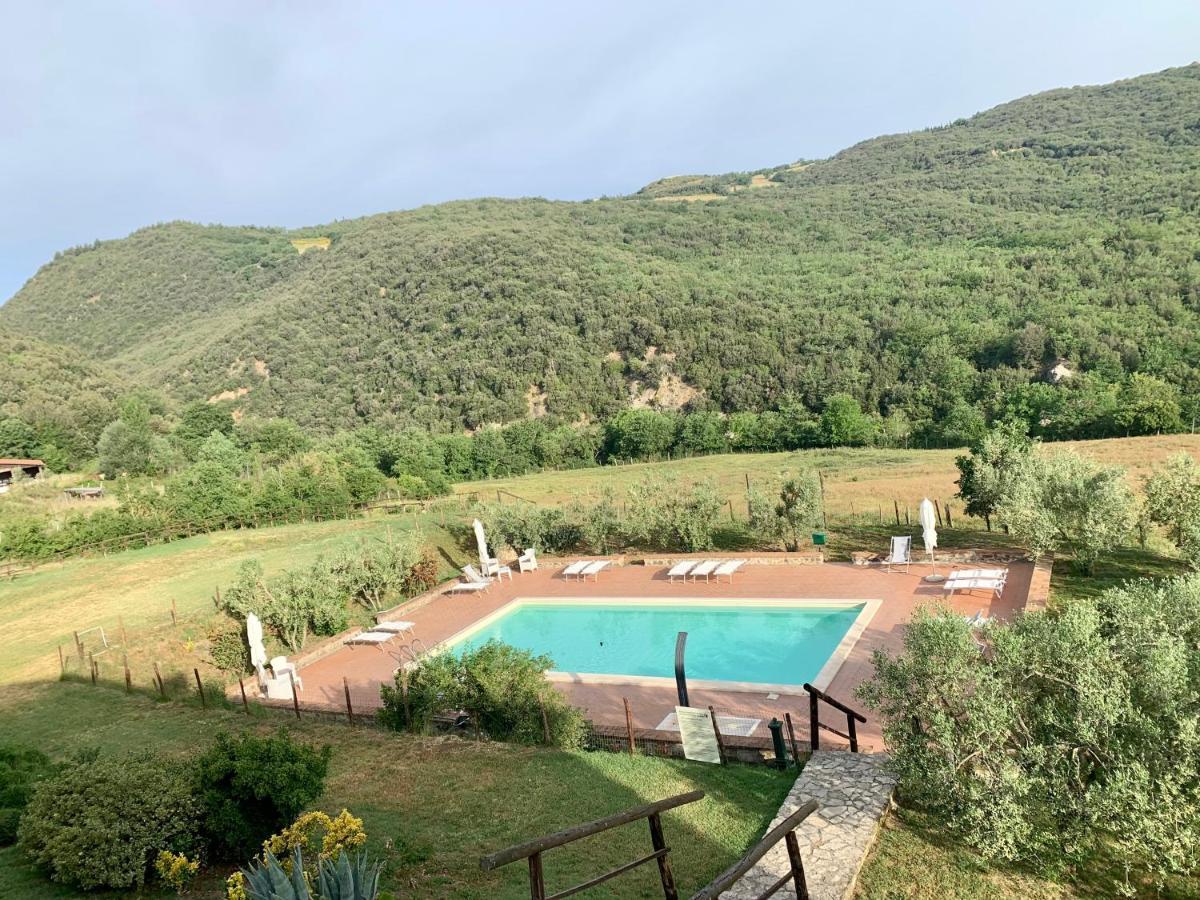 Podere Le Mulina Кастильоне-д'Орчия Экстерьер фото